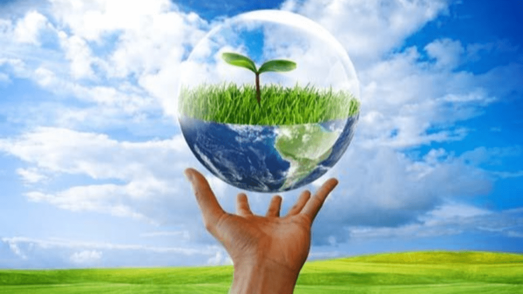 Green Living: How to Do Good for the Planet